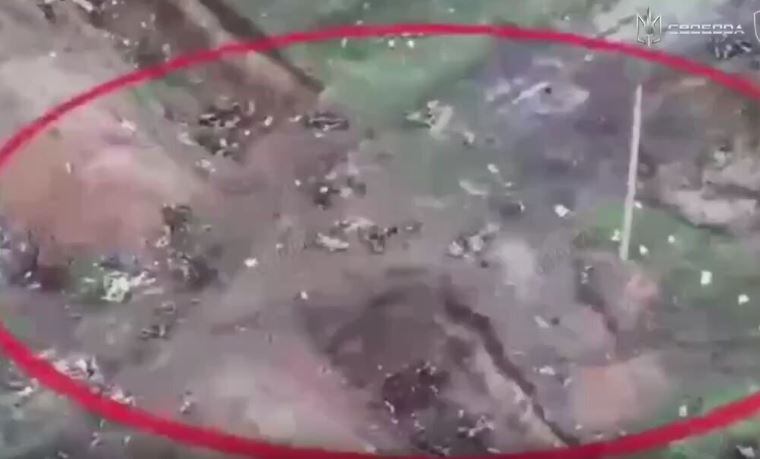 Поле на Покровському напрямку засіяне трупами окупантів: бійці ЗСУ показали наслідки наступу РФ Поле на Покровському напрямку засіяне трупами окупантів: бійці ЗСУ показали наслідки наступу РФ